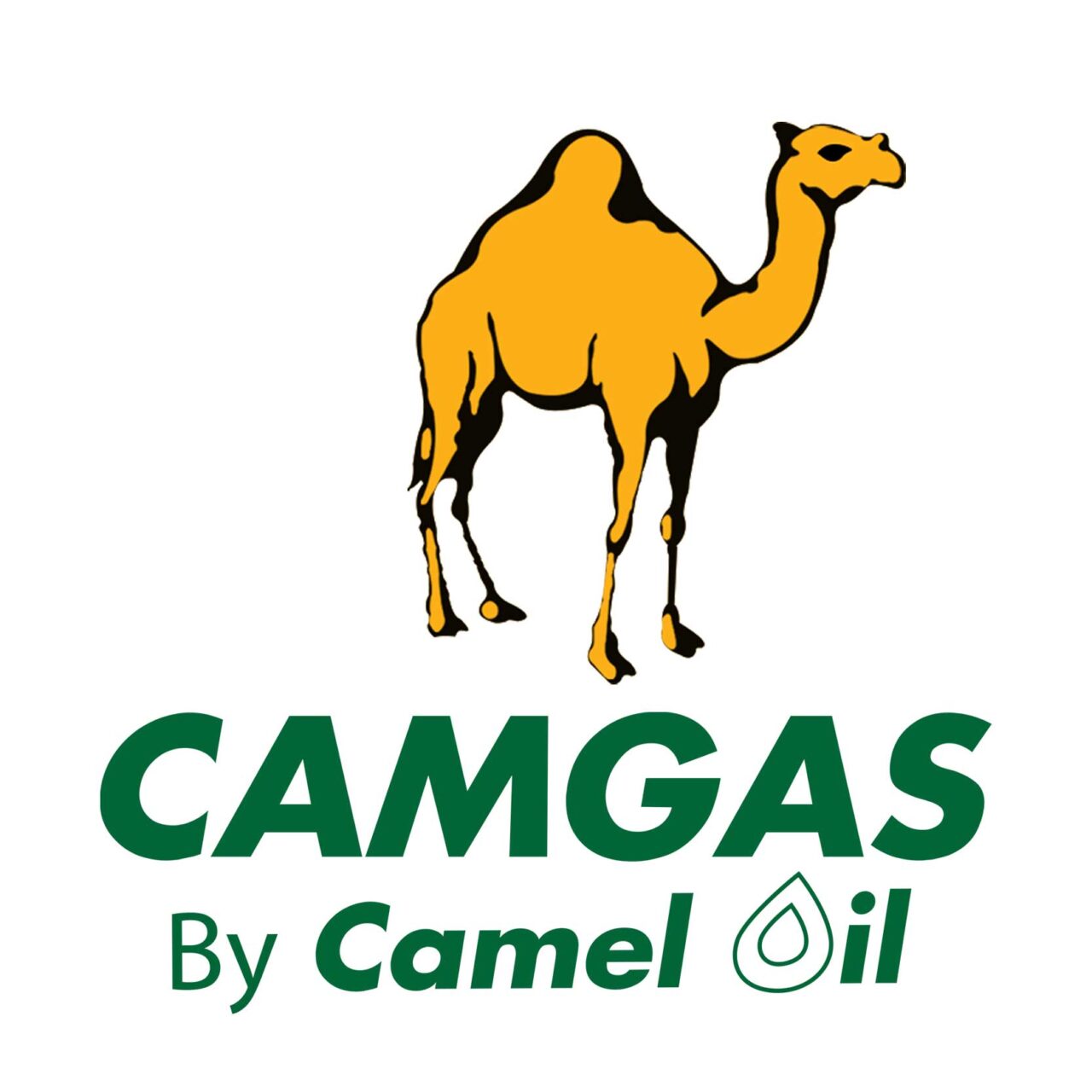 camgas-logo-amsonsgrouptz