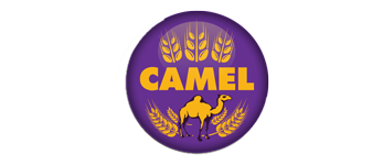 flour-slide-logo-amsonsgrouptz