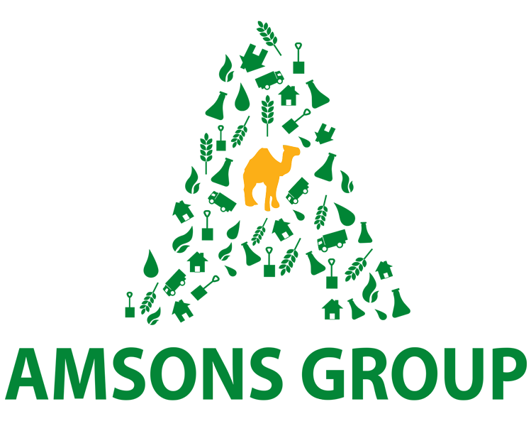 Amsons Group